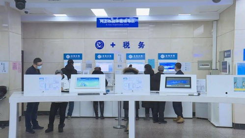 黑龍江省全面上線增值稅電子專用發票，為信息咨詢服務行業注入數字化新動能